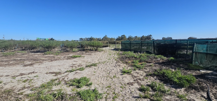 3 Bedroom Property for Sale in Hartebeesfontein Western Cape